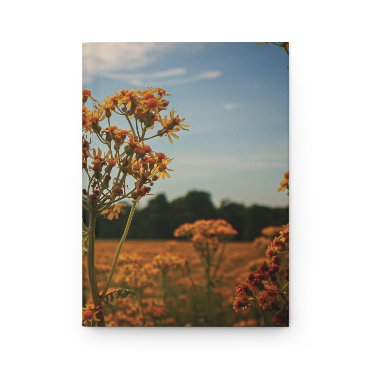Field of Wildflowers Hardcover Journal — Lined Vintage Sunset Notebook