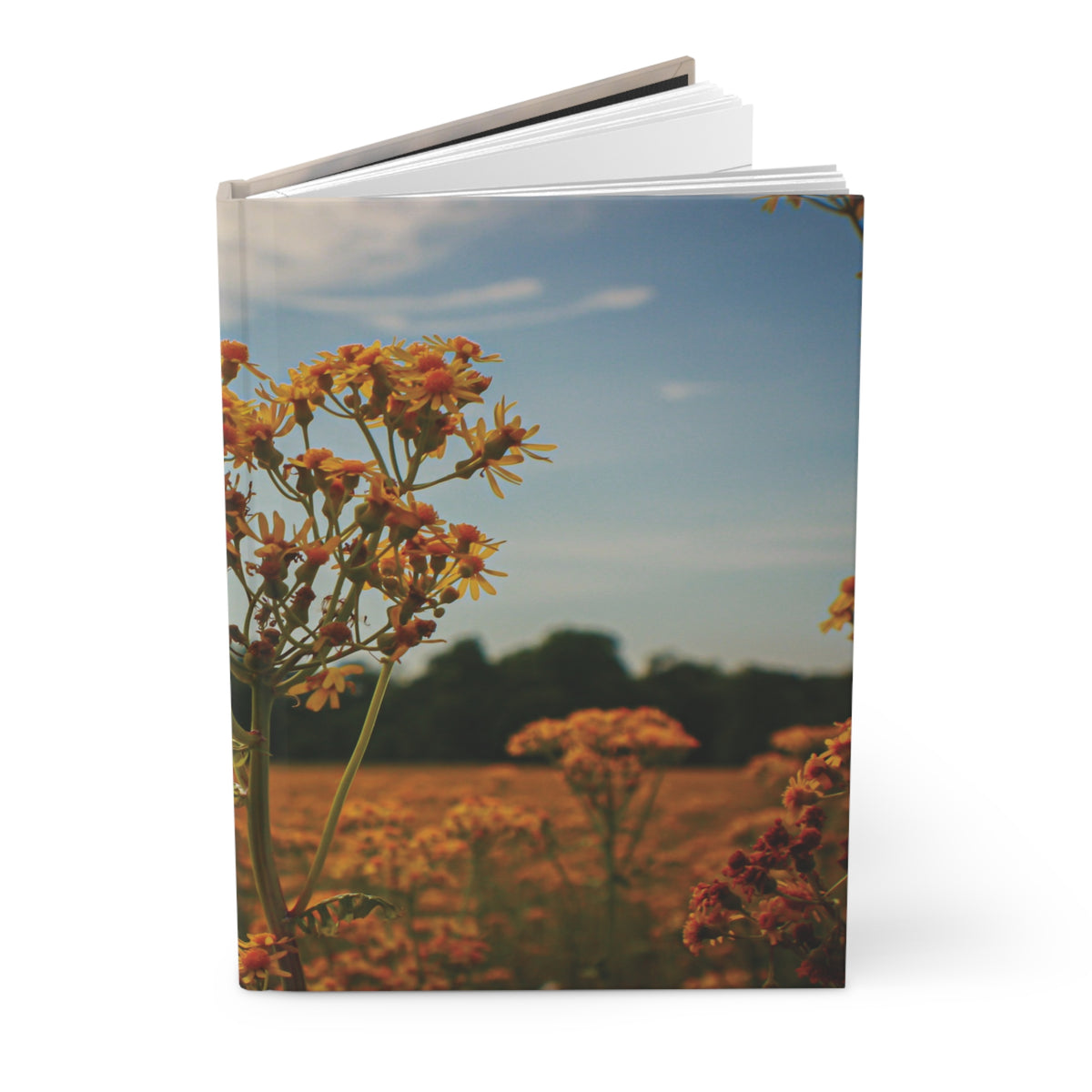 Field of Wildflowers Hardcover Journal — Lined Vintage Sunset Notebook